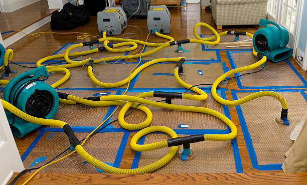 Professional Crawl Space Water Removal technician working in Warren, MA